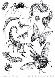 Temporary Tattoo Transfers