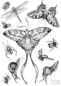 Temporary Tattoo Transfers