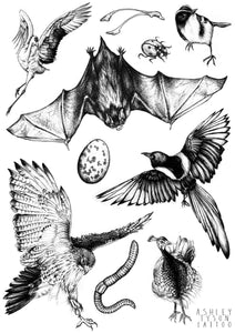 Temporary Tattoo Transfers
