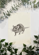 Load image into Gallery viewer, Raffle
